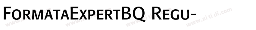 FormataExpertBQ Regu字体转换